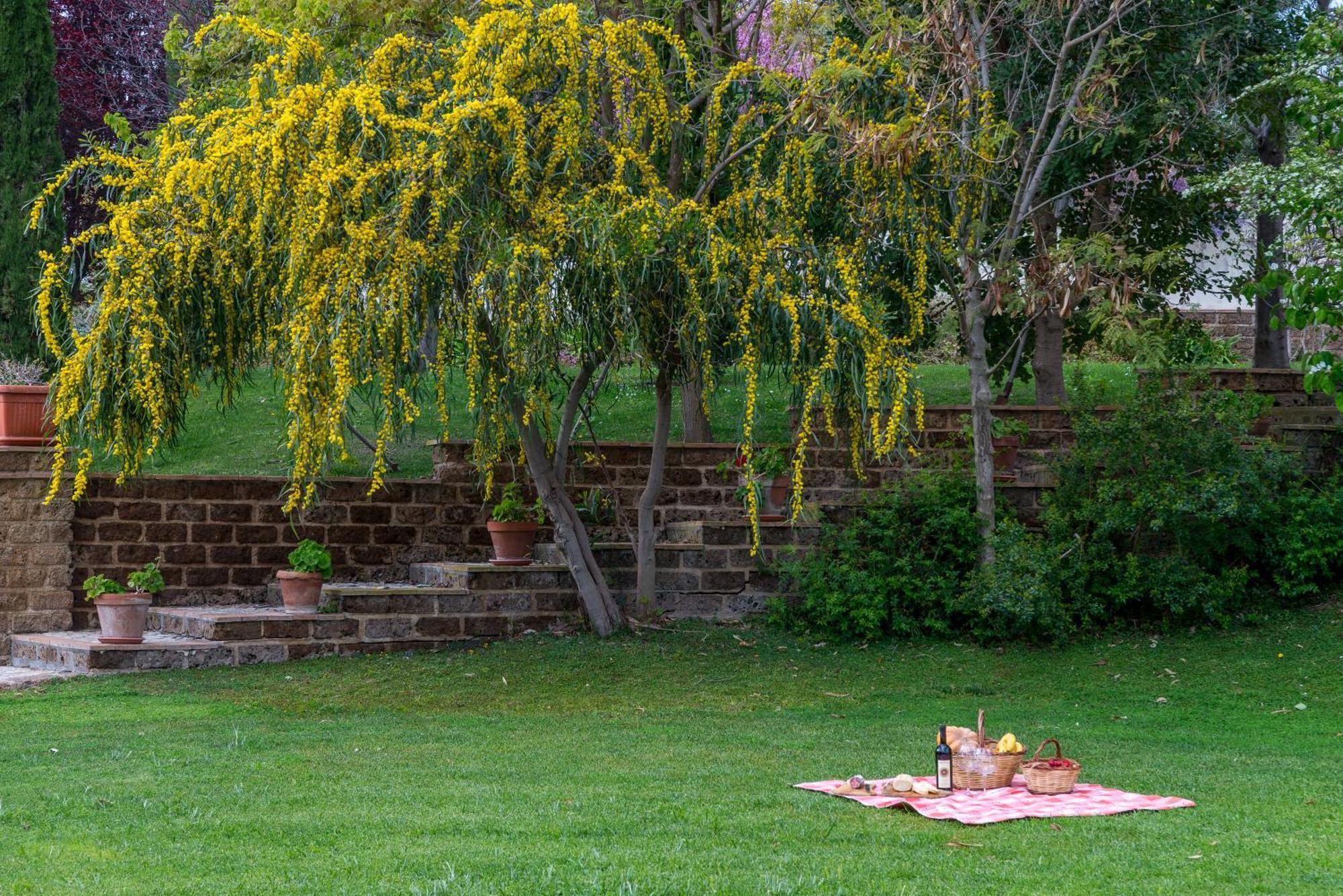 Villa Gli Eucalipti Cerveteri Buitenkant foto