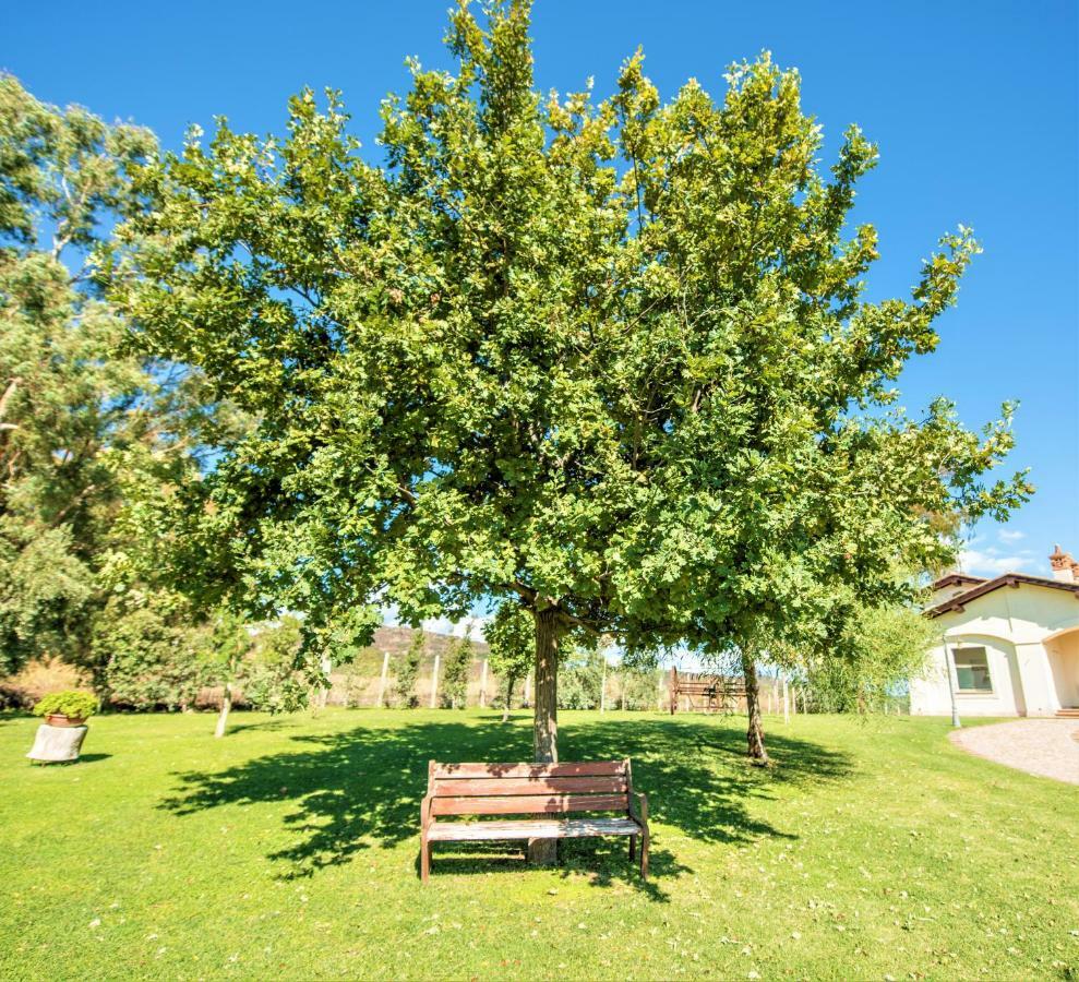 Villa Gli Eucalipti Cerveteri Buitenkant foto